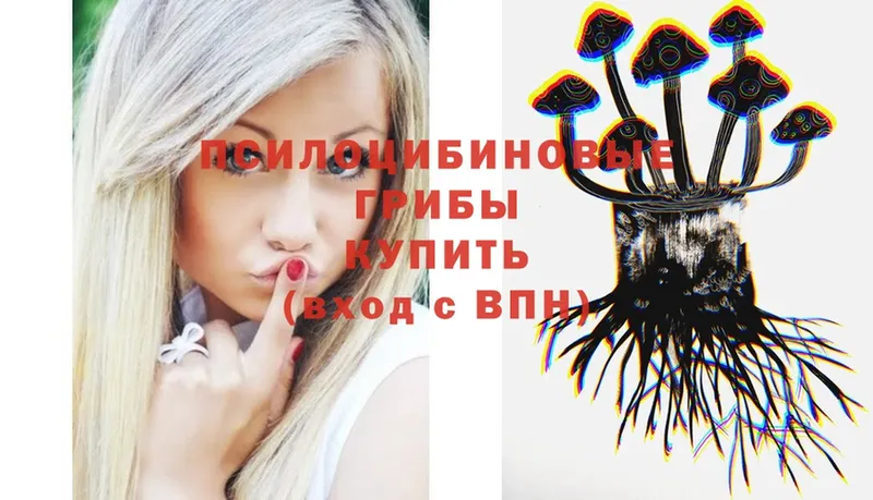 купить наркотик  Белоярский  Псилоцибиновые грибы Psilocybe 